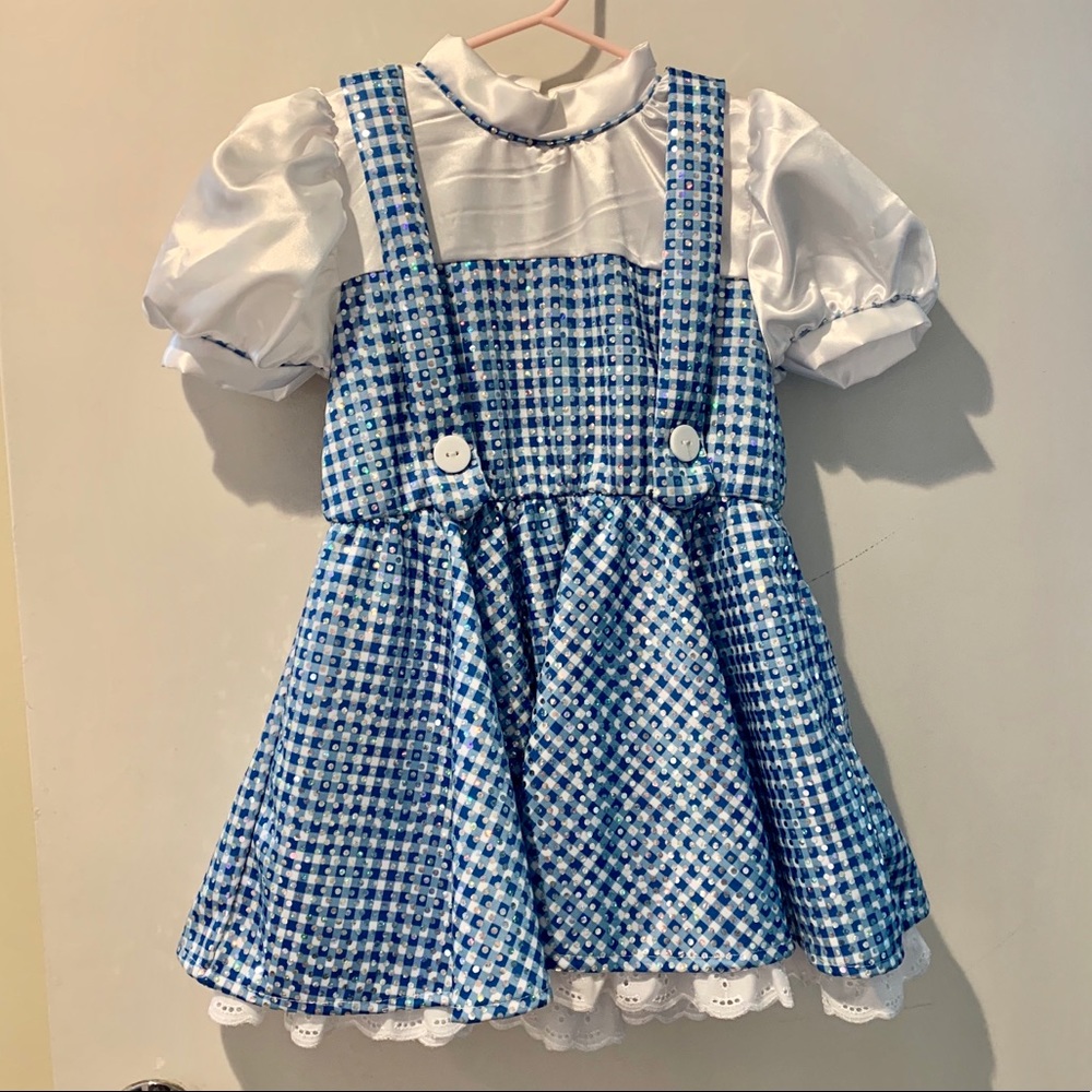 Dorothy from the Wizard of Oz costume